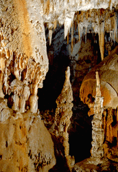 cave1.gif (42815 bytes)