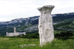 savrinka hrast.gif (21327 bytes)