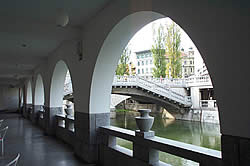 HRASTOVLJE2.gif (22548 bytes)